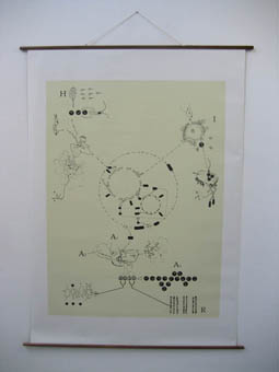 Wall map 3: The circle of life. (160 x 220 cm)
