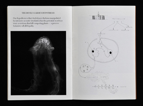 The Eden Experiment, project publication, Nikolaus Gansterer (ed.), Paradise Matters, Maastricht, 2006