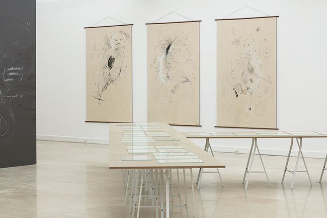 Nikolaus Gansterer, Maps of Bodying, drawings, installation view: Con-notations, Villa Arson, Nice, 2018