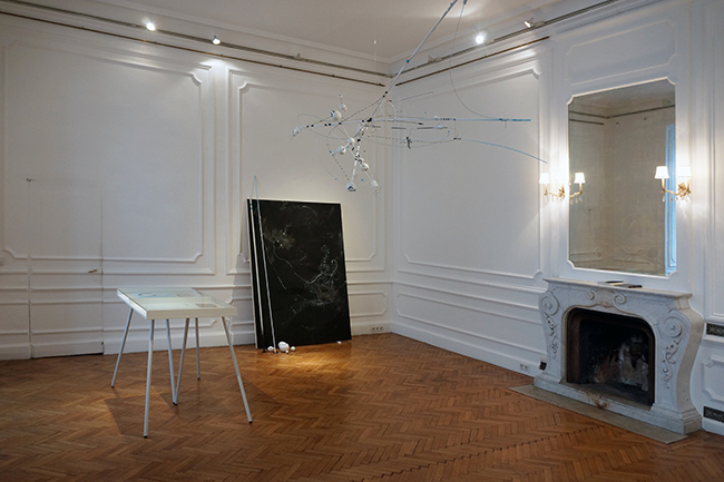 Nikolaus Ganster, installation view, Ephemeral Coherences, 2017, Palais Wilczek, Sotheby's, Vienna