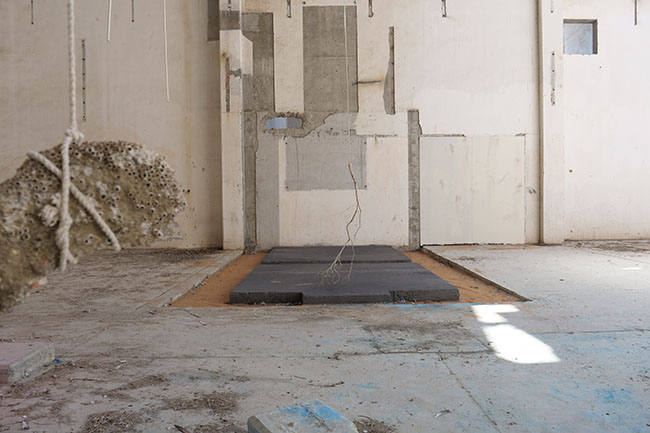 Nikolaus Gansterer, Sympoiesis Obersatory, 2019, site specific installation with found materials, mirrors,  bamboo, wood, wire, sound, video, 14th Sharjah Biennial, Ice Factory, Kalba, UAE