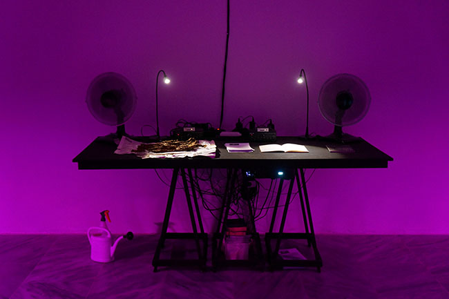 Nikolaus Gansterer, The Eden Experiment II, (Habana Habitat), installation view, Habana Biennial, 2015