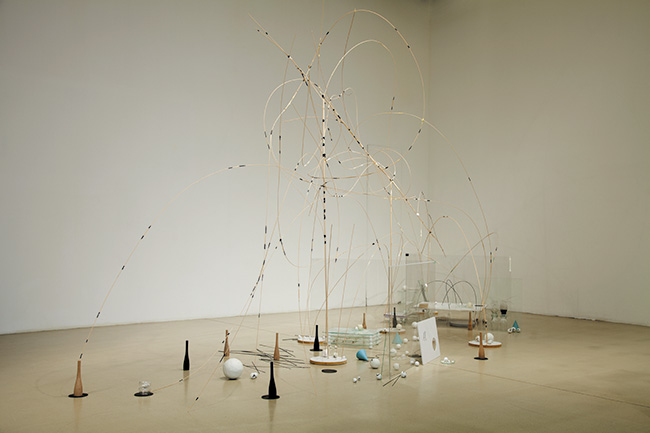 Theoriegehäuse I, (Memoirs of the Blind), installaion view, 2013