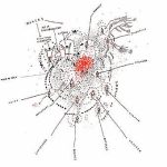 relational diagram: authors and others