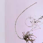 Nikolaus Gansterer, tracing (in)tangibles, installation views, Gallery Crone, Vienna, 2019
