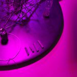 Nikolaus Gansterer, tracing (in)tangibles, installation views, Gallery Crone, Vienna, 2019